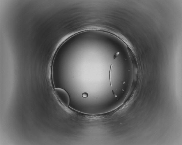 X0000115250862200911061217