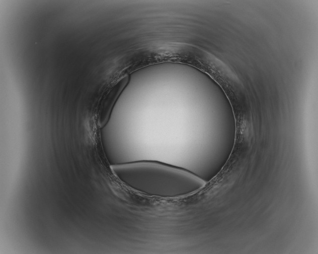 X0000115250868200911061216