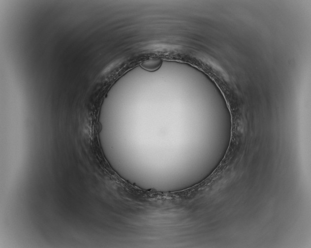 X0000115250869200911061216