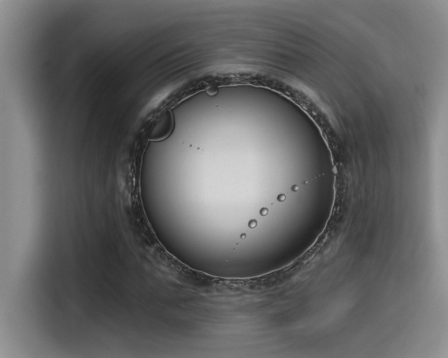 X0000115250871200911061216