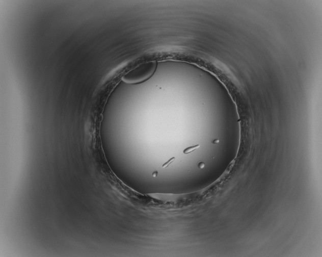 X0000115250872200911061216