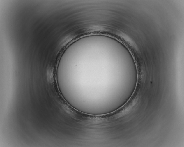 X0000115250873200911061216