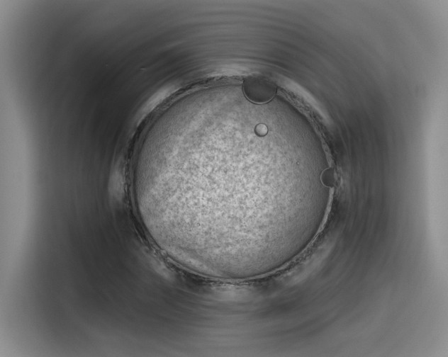 X0000115250874200911061216