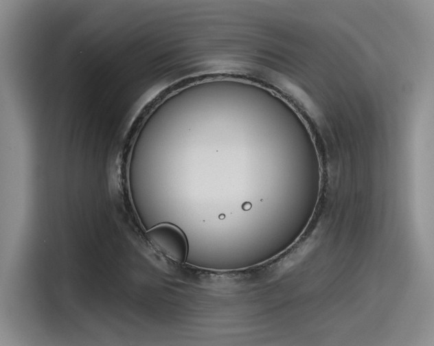 X0000115250875200911061216