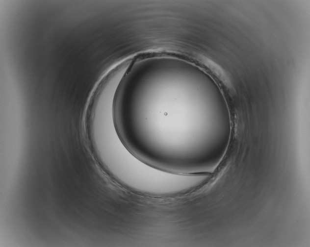 X0000115250876200911061216