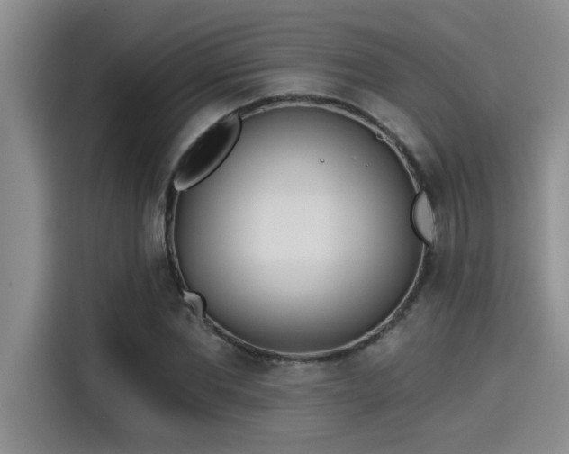 X0000115250877200911061216