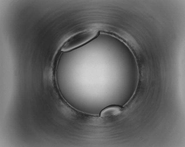 X0000115250880200911061216