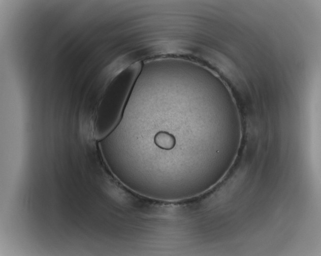 X0000115250881200911061216
