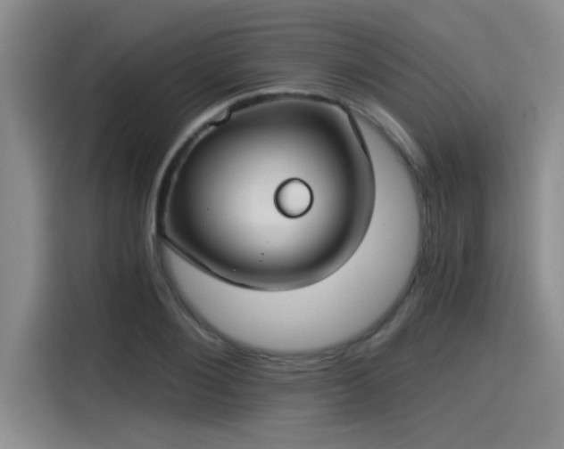X0000115250884200911061216