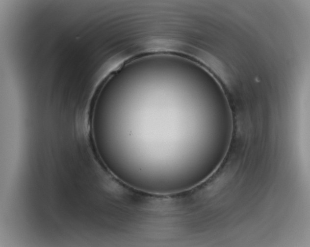 X0000115250885200911061216