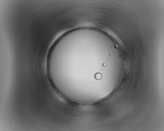 X0000115250886200911061216