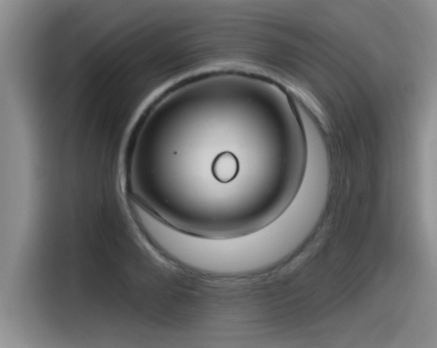 X0000115250888200911061216