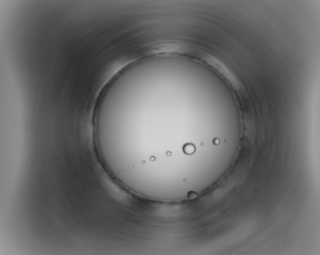X0000115250890200911061216