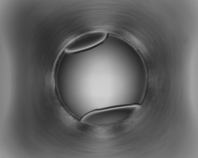 X0000115250892200911061216