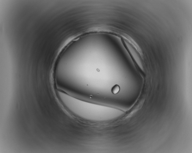 X0000115250893200911061216