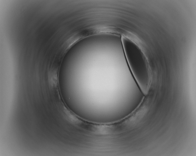 X0000115250897200911061216