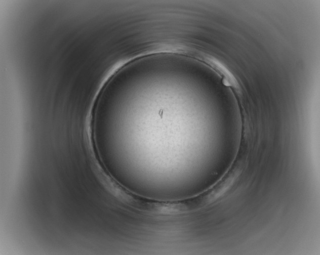 X0000115250899200911061216