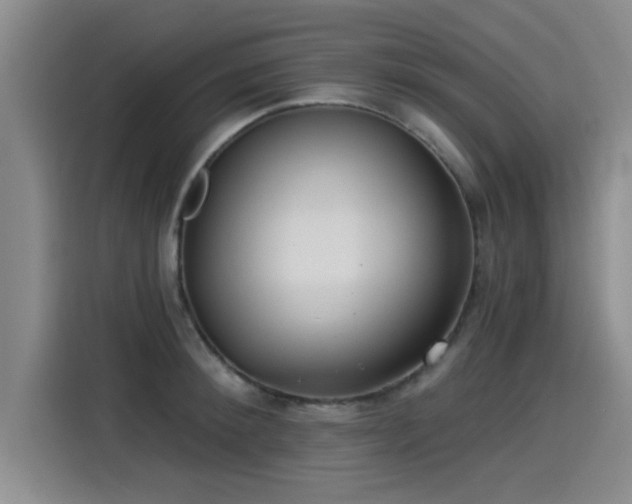 X0000115250900200911061216