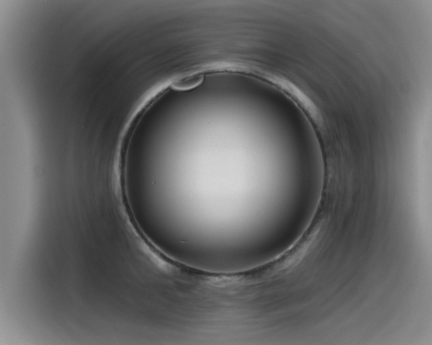 X0000115250902200911061216