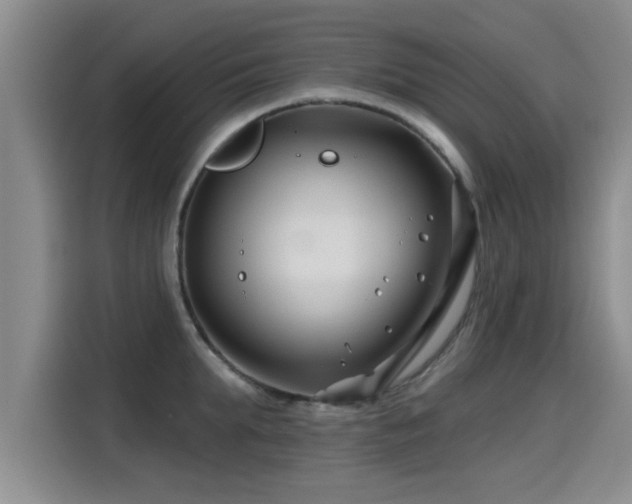 X0000115250903200911061216