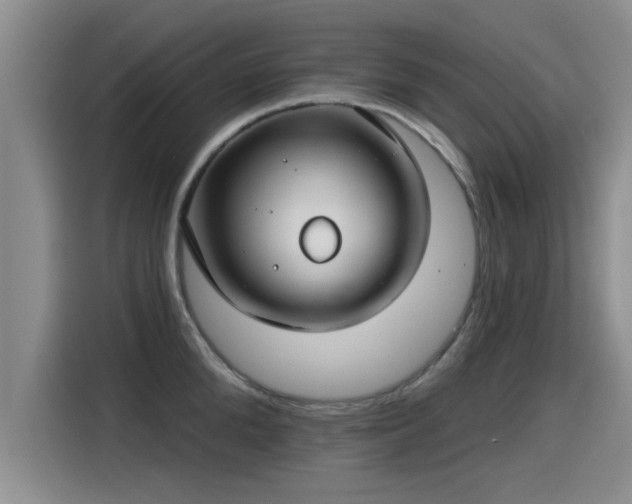 X0000115250904200911061216