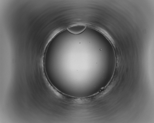 X0000115250906200911061216