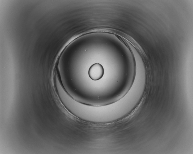 X0000115250908200911061216