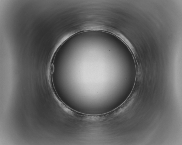 X0000115250909200911061216