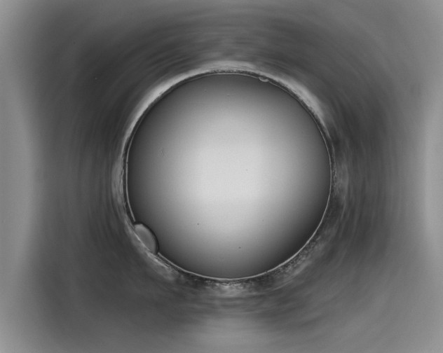 X0000115250911200911061216