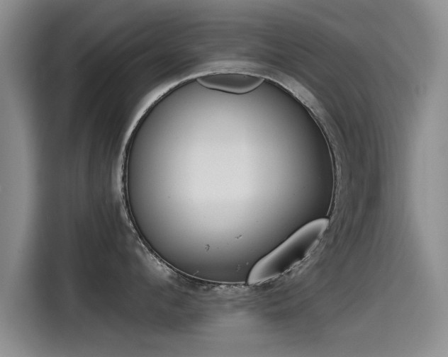 X0000115250912200911061216