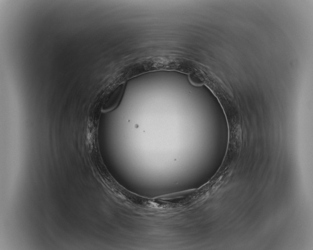 X0000115250914200911061215