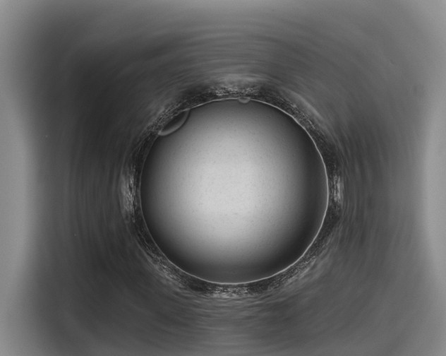 X0000115250915200911061215