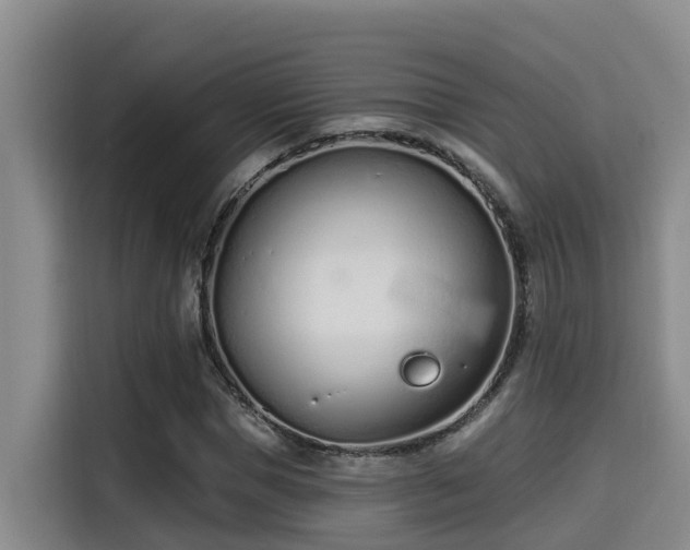 X0000115250921200911061215
