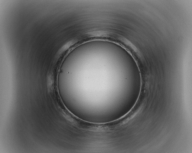 X0000115250922200911061215