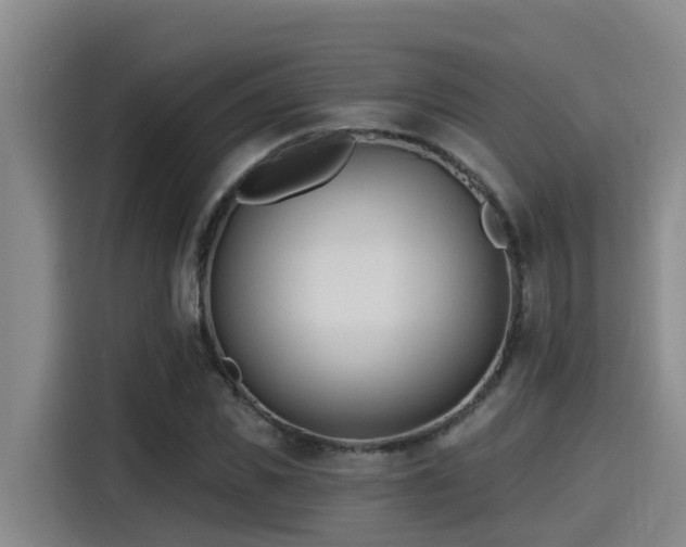 X0000115250925200911061215