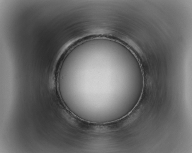 X0000115250927200911061215