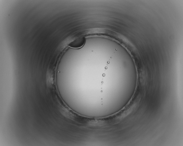 X0000115250929200911061215
