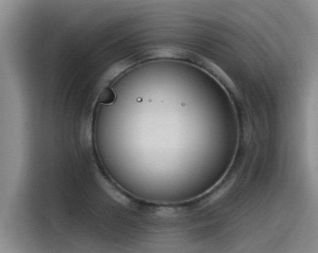 X0000115250938200911061216