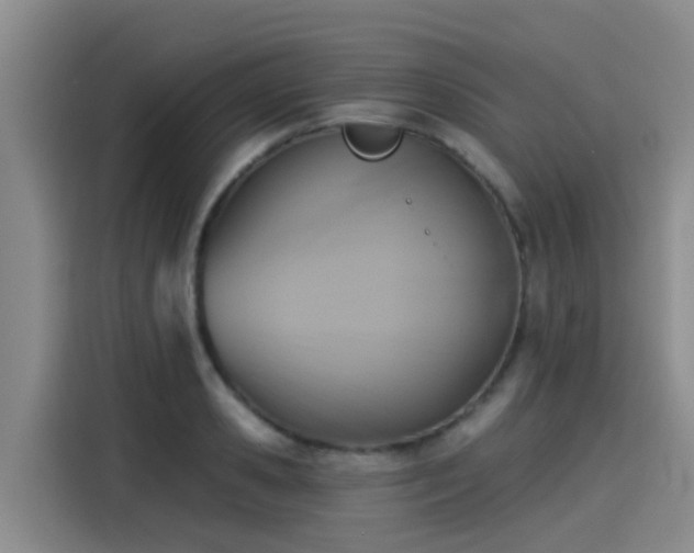 X0000115250941200911061216