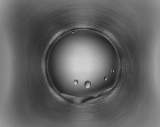 X0000115250942200911061216