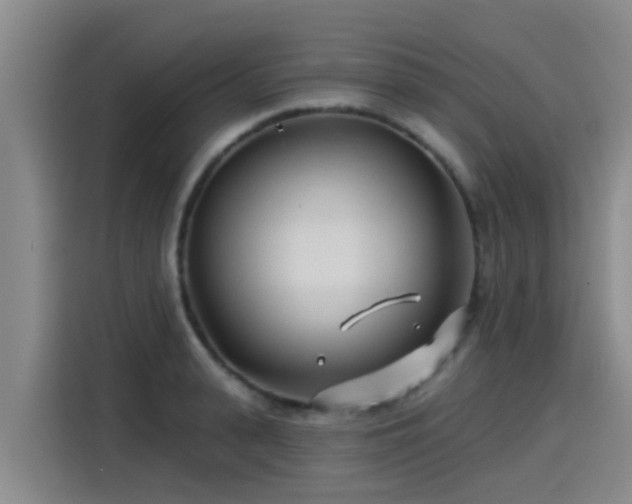 X0000115250943200911061216
