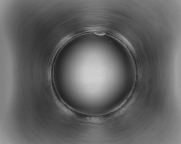 X0000115250946200911061216