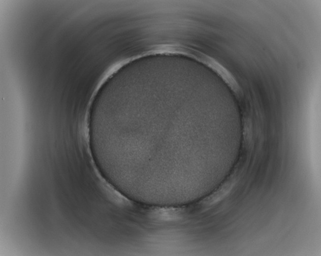 X0000115250950200911061216