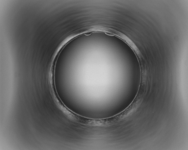 X0000115250955200911061216