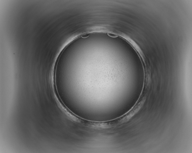 X0000115250957200911061216