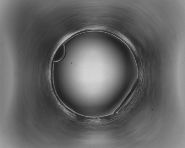 X0000115250959200911061216