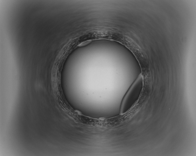 X0000115250961200911061215