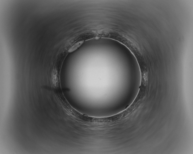 X0000115250963200911061215
