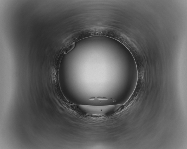 X0000115250964200911061215