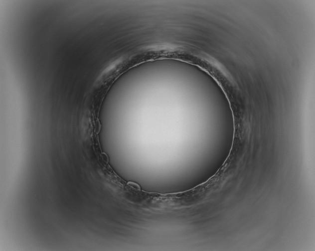 X0000115250967200911061215